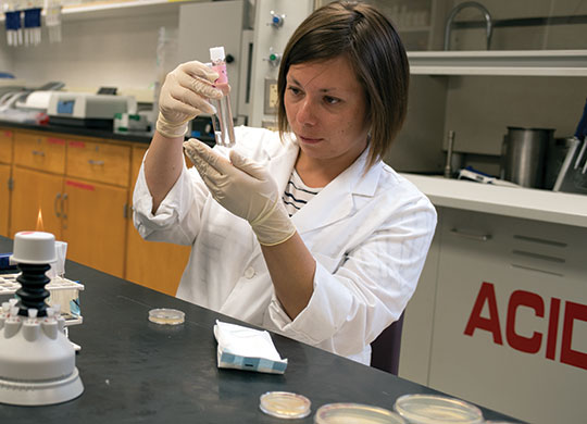 2017 Student Research Fellowship student participant Catherine Mirto in biology lab holding a test tube.